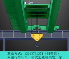 四川10吨洁净起重机雅安双梁行车行吊厂家